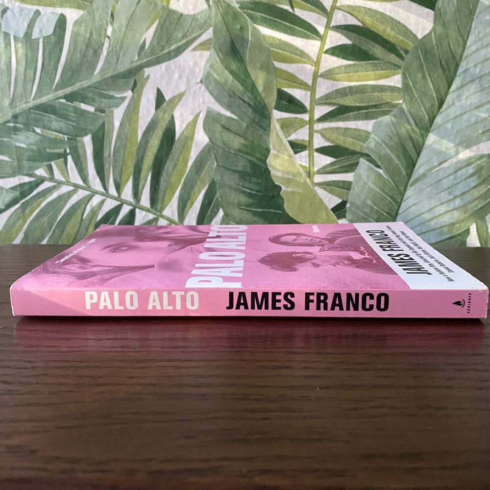 ✨ 2/$10 BOOKS✨ Palo Alto by James Franco Paperback Book - Picture 3 of 6